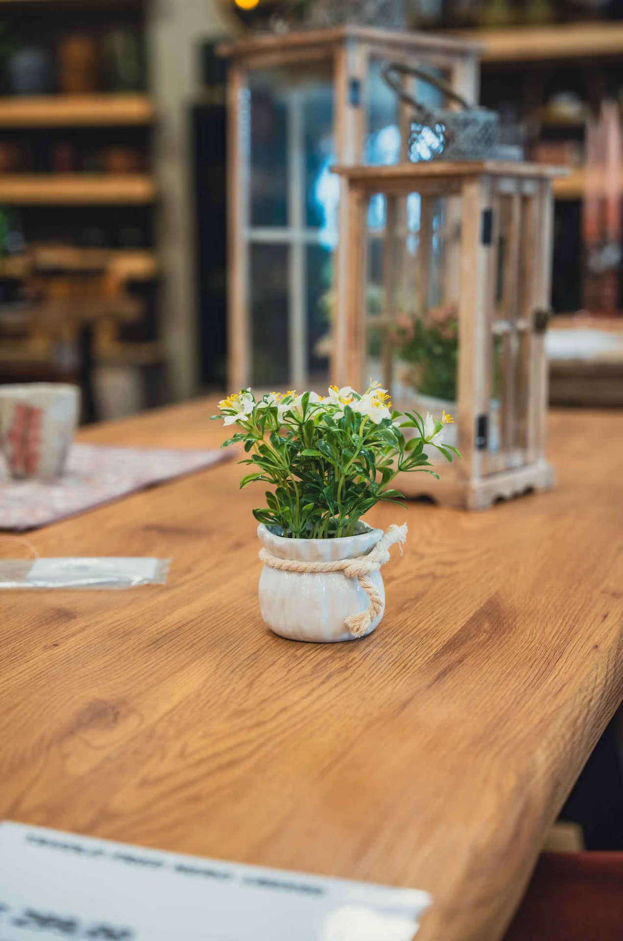 Foto dello showroom BorgoCasa a Saluzzo con ambientazioni casa e living