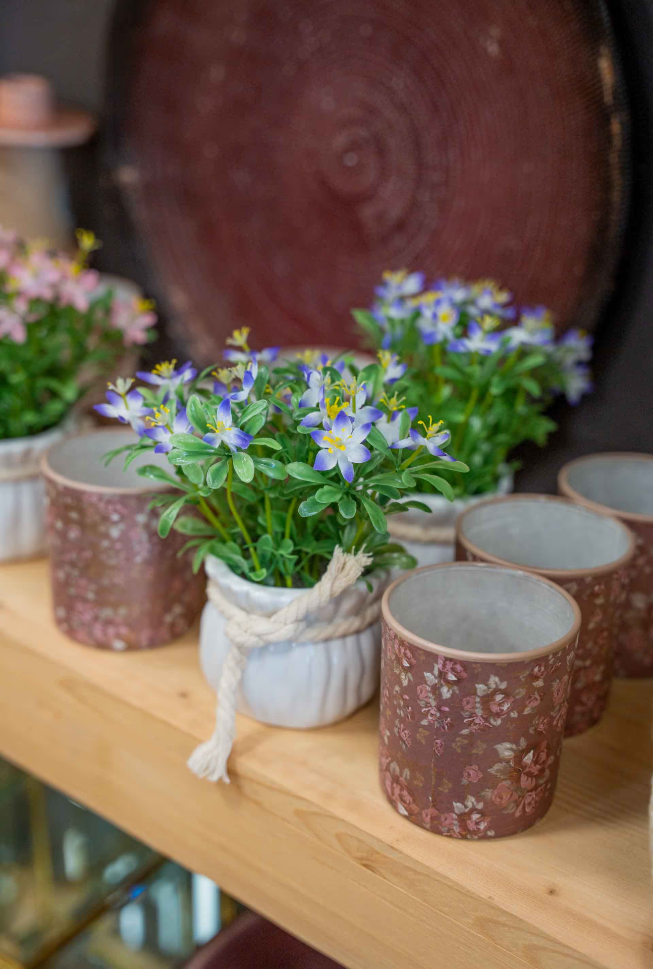 Foto dello showroom BorgoCasa a Saluzzo con ambientazioni casa e living