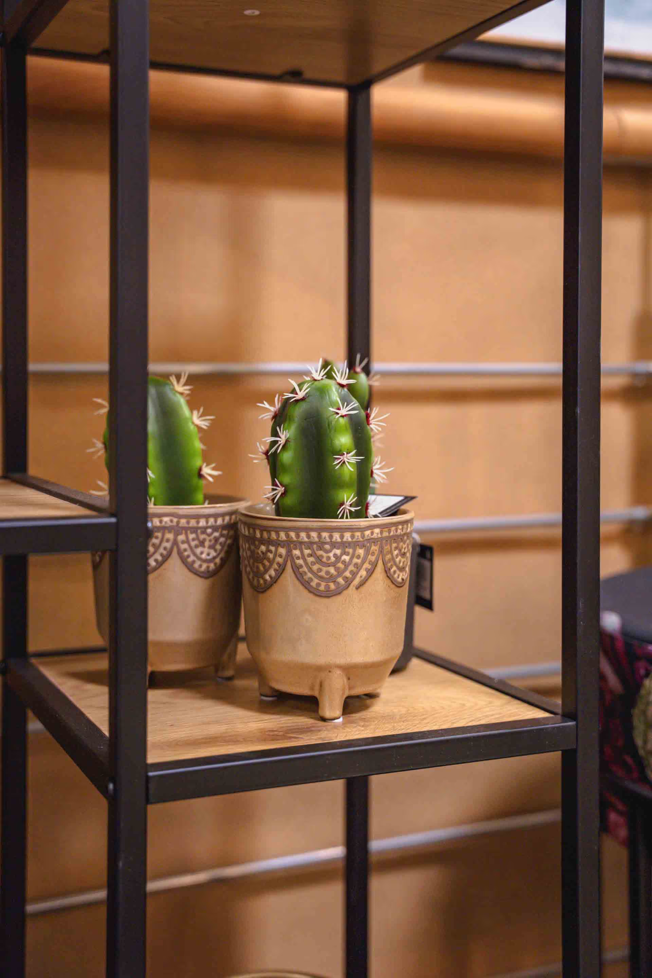 Foto dello showroom BorgoCasa a Saluzzo con ambientazioni casa e living