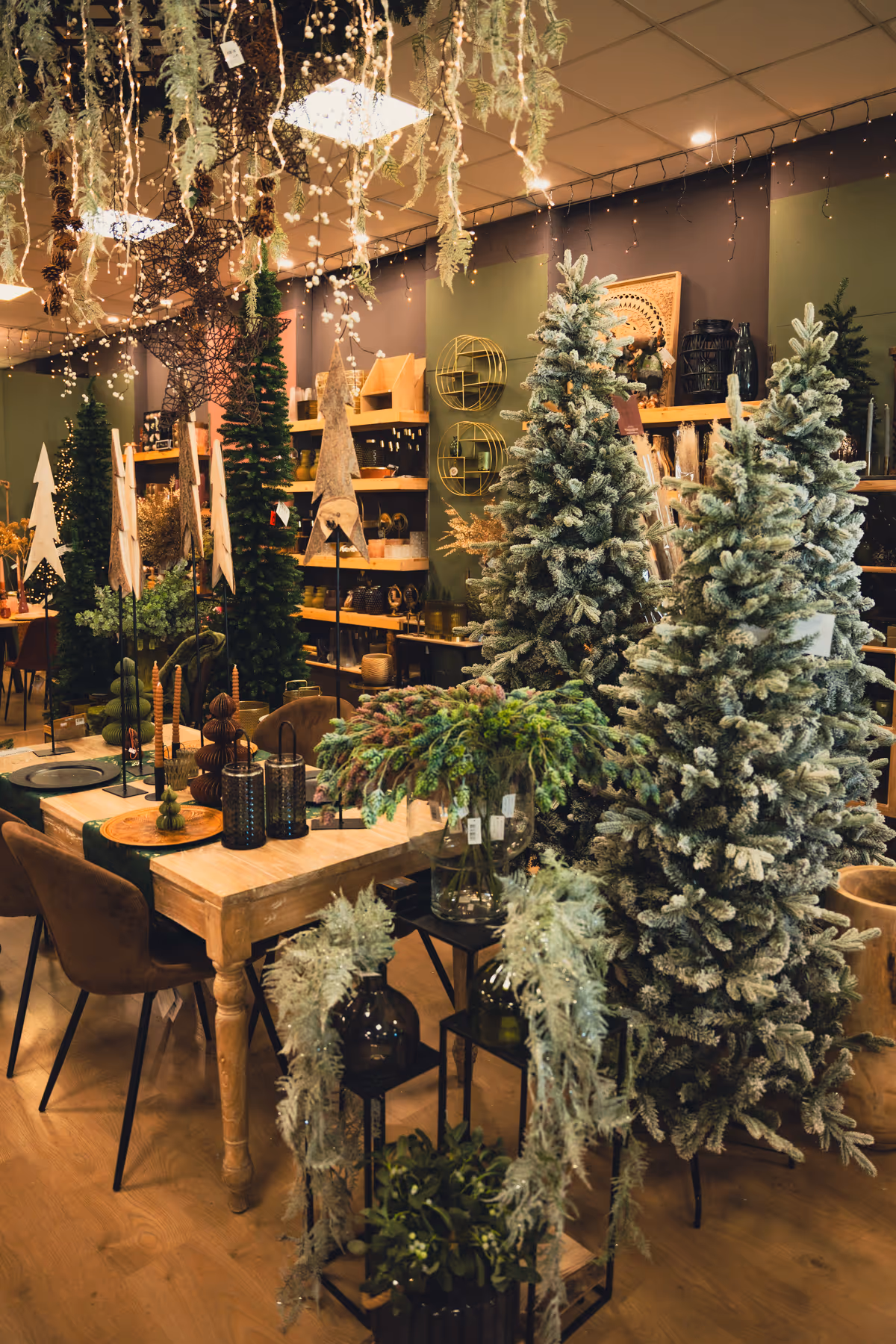 Foto dello showroom BorgoCasa a Saluzzo con ambientazioni casa e living