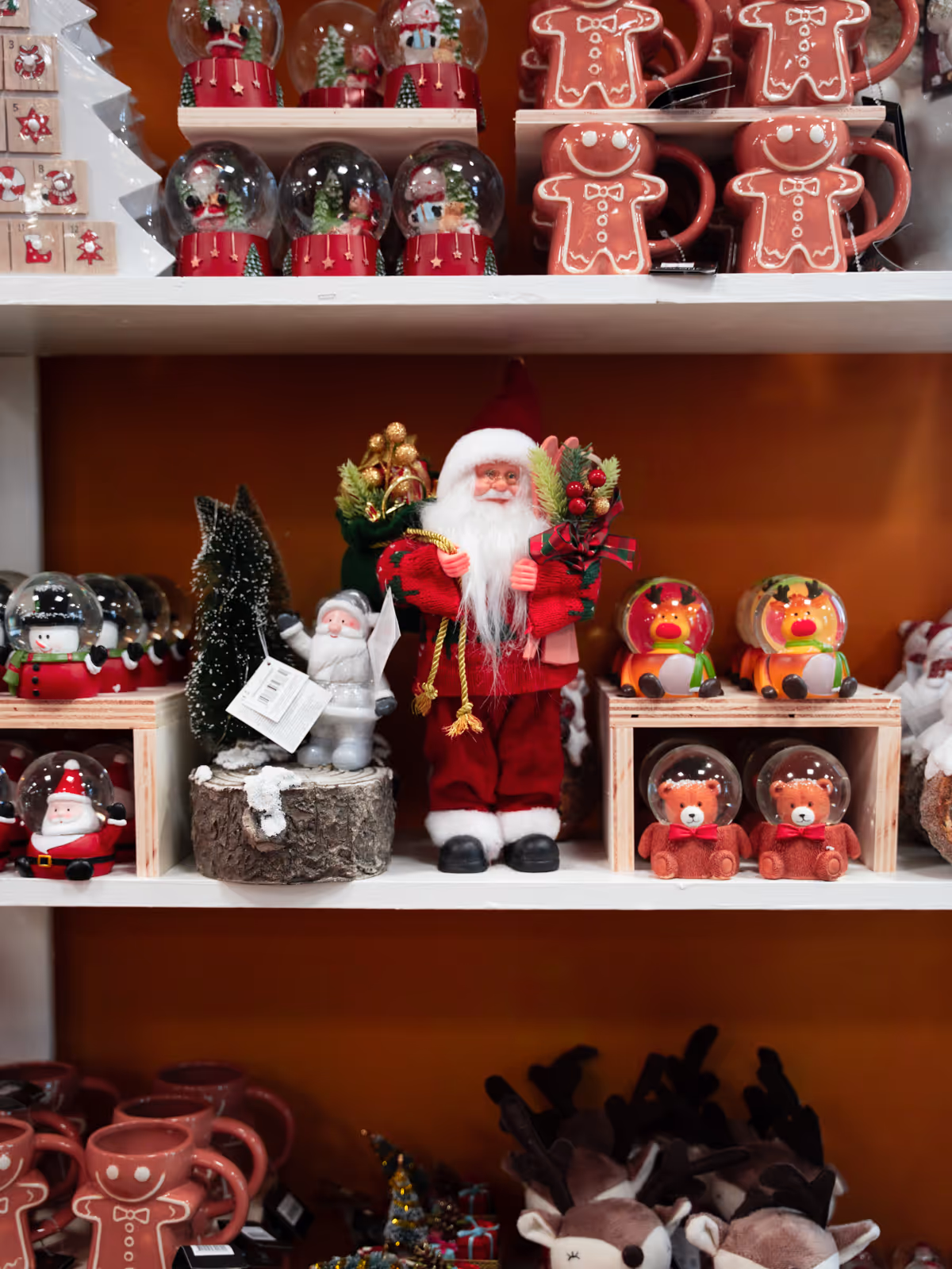 Foto dello showroom BorgoCasa a Saluzzo con ambientazioni casa e living