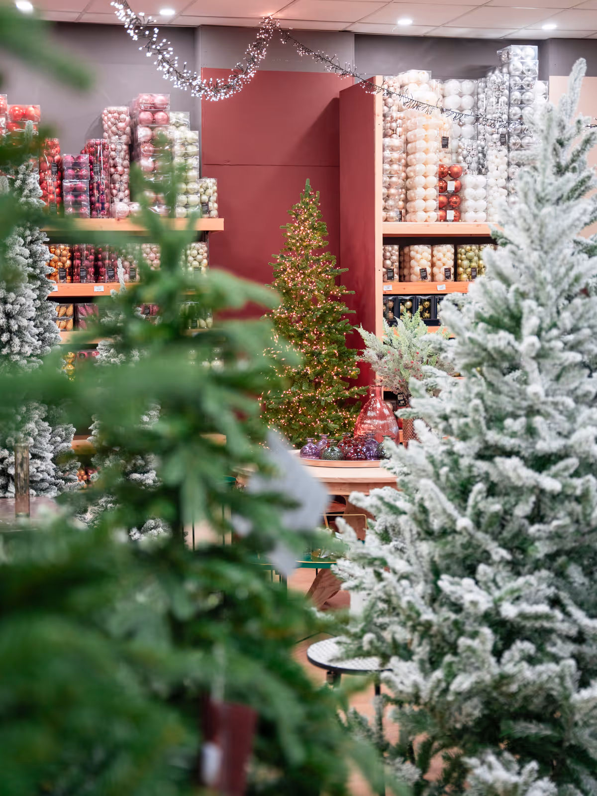 Foto dello showroom BorgoCasa a Saluzzo con ambientazioni casa e living
