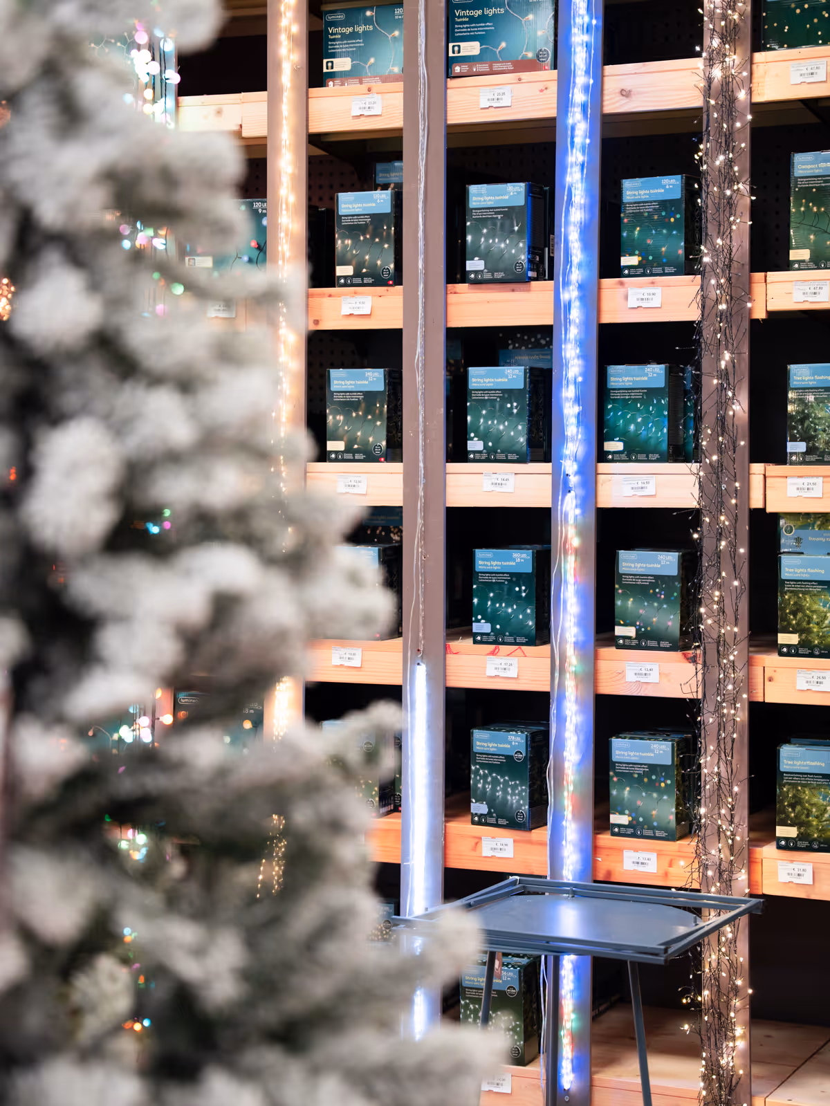 Foto dello showroom BorgoCasa a Saluzzo con ambientazioni casa e living